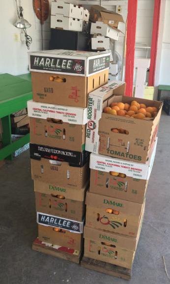 Tomato boxes filled with apricots at Mt. Garfield. Ready for their trip to Wyoming.